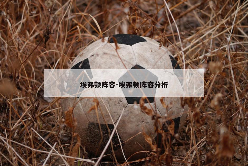 埃弗顿阵容-埃弗顿阵容分析
